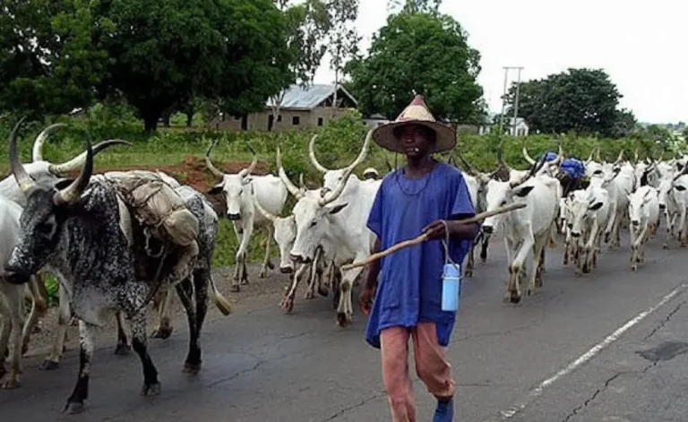 Herdsmen