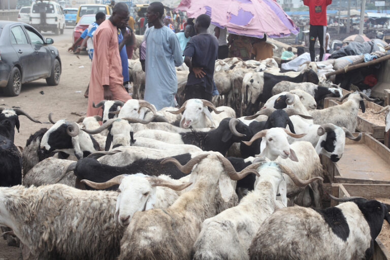 EID-SALES009