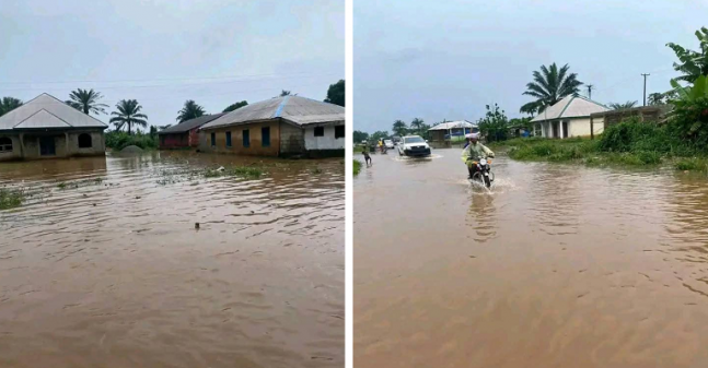 Flood-647x337