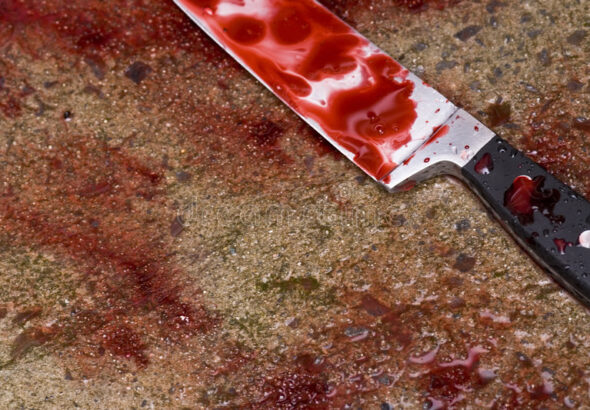blood-soaked-knife-2499975