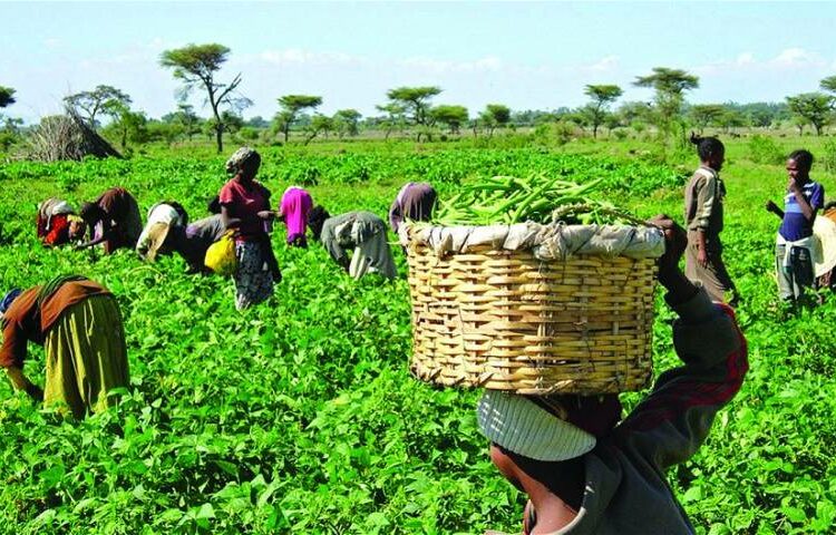 Farmers-750x480