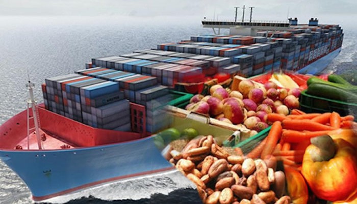 Non-oil-export-