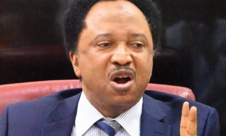 Shehu-Sani-780x470