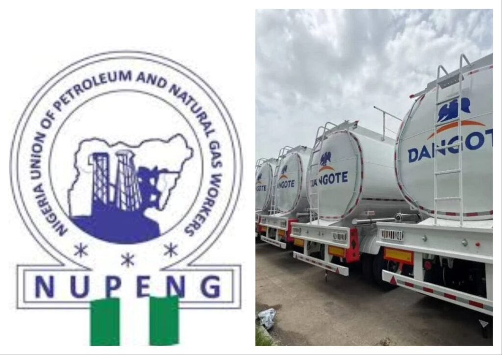 dangote-1536x1086