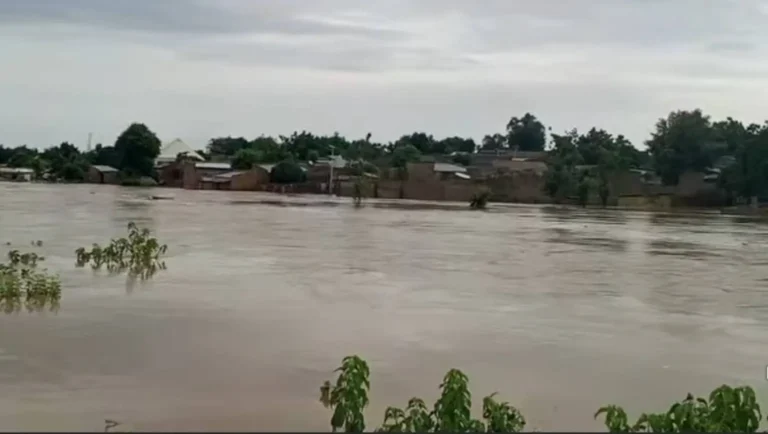 yobe-flood-submerges-houses-1536x867