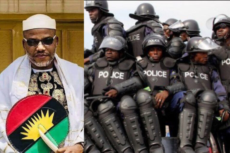 created by photogrid