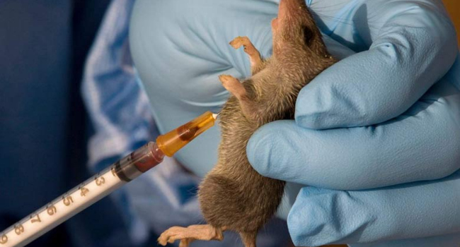 Lassa-Fever.photo-by-lagosstate.gov_.ng_