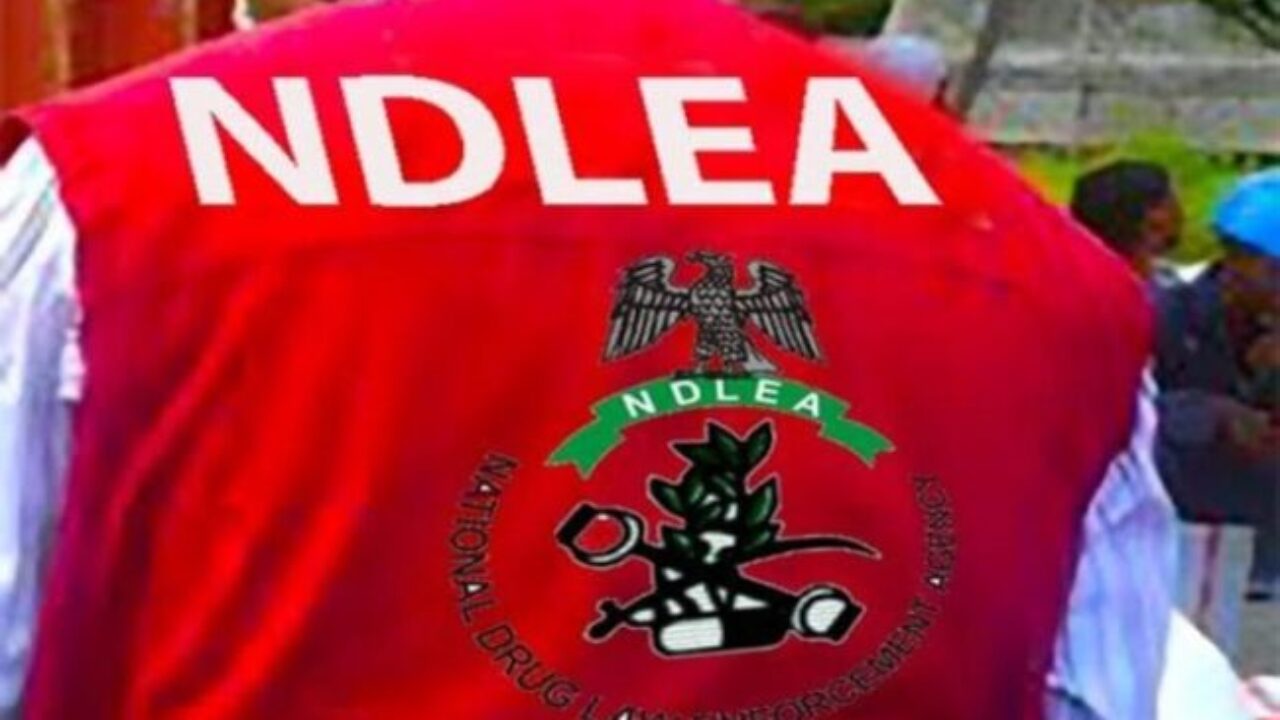 NDLEA-1