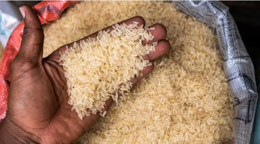rice