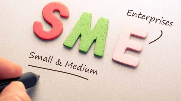 Micro-Small-and-Medium-Enterprises-MSMES-600x338-1