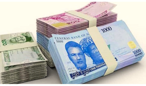 naira-notes1