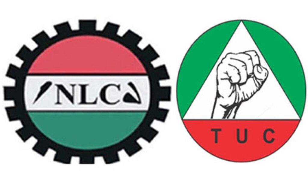 nlc-tuc-12