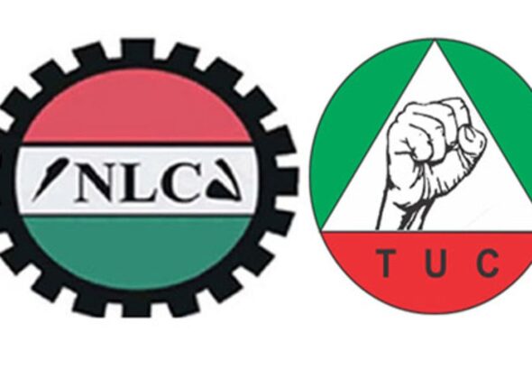 nlc-tuc-12