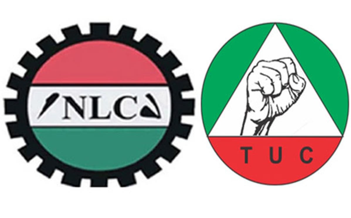 nlc-tuc-12