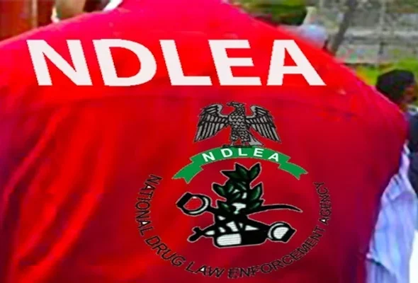 NDLEA-1