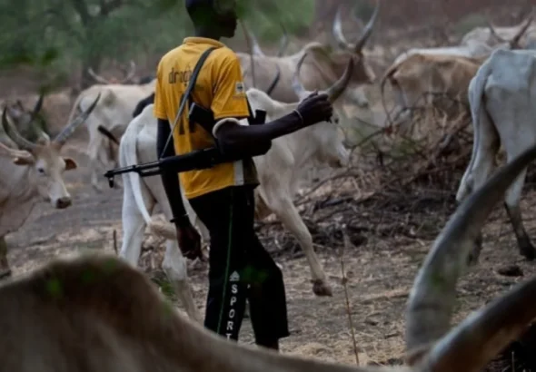herdsmen-1536x711