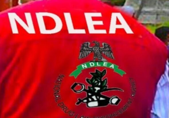 NDLEA-1