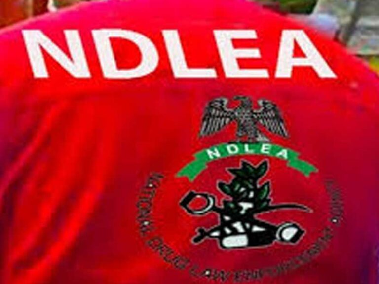NDLEA-2