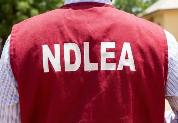 The-National-Drug-Law-Enforcement-Agency-NDLEA-1536x864